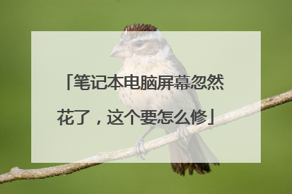 笔记本电脑屏幕忽然花了,这个要怎么修
