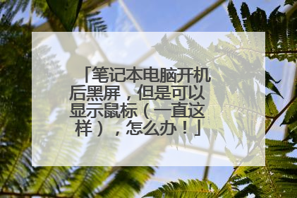 笔记本电脑开机后黑屏,但是可以显示鼠标(一直这样),怎么办!