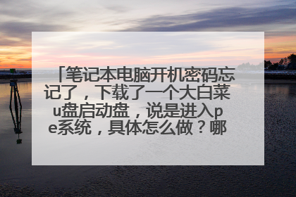 笔记本电脑开机密码忘记了,下载了一个大白菜u盘启动盘,说是进入pe系统,具体怎么做?哪儿个高手来帮