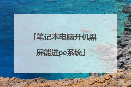 笔记本电脑开机黑屏能进pe系统