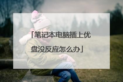 笔记本电脑插上优盘没反应怎么办