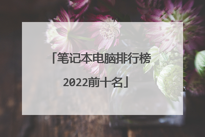 笔记本电脑排行榜2022前十名