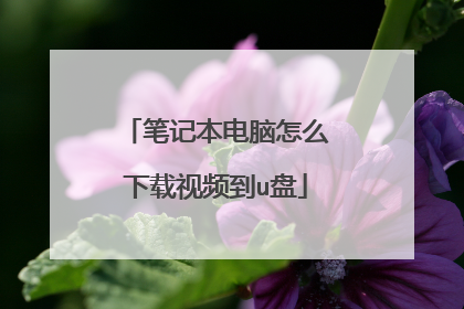 笔记本电脑怎么下载视频到u盘
