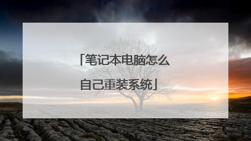 笔记本电脑怎么自己重装系统