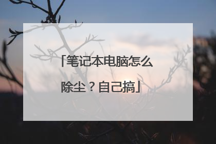 笔记本电脑怎么除尘?自己搞