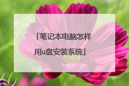 笔记本电脑怎样用u盘安装系统