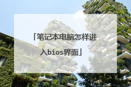 笔记本电脑怎样进入bios界面