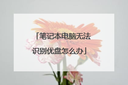 笔记本电脑无法识别优盘怎么办