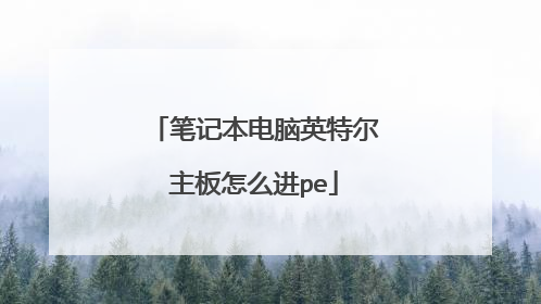 笔记本电脑英特尔主板怎么进pe