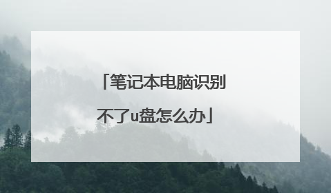 笔记本电脑识别不了u盘怎么办