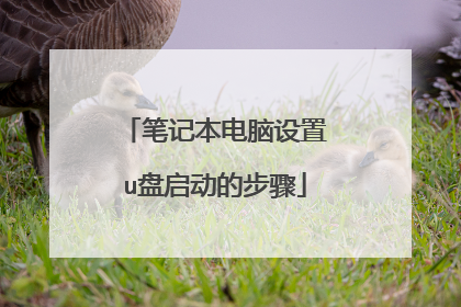 笔记本电脑设置u盘启动的步骤