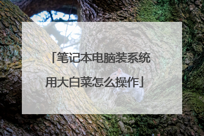 笔记本电脑装系统用大白菜怎么操作