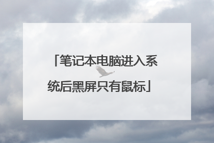 笔记本电脑进入系统后黑屏只有鼠标