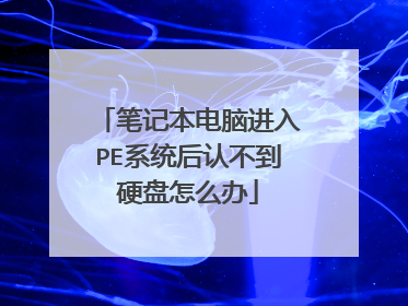 笔记本电脑进入PE系统后认不到硬盘怎么办