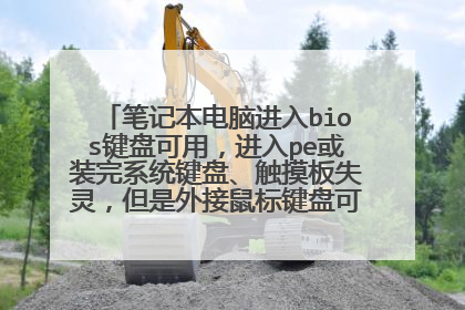 笔记本电脑进入bios键盘可用,进入pe或装完系统键盘、触摸板失灵,但是外接鼠标键盘可以正常使用,