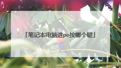 笔记本电脑进pe按哪个键