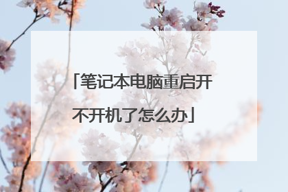 笔记本电脑重启开不开机了怎么办