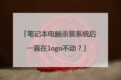 笔记本电脑重装系统后一直在logo不动?