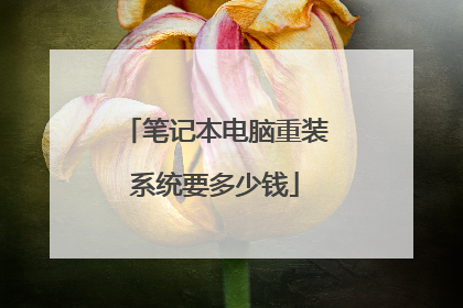 笔记本电脑重装系统要多少钱