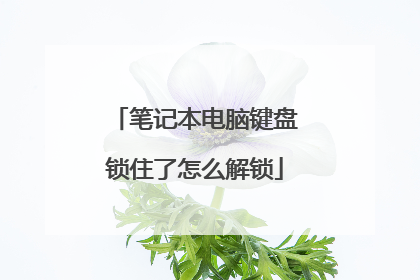 笔记本电脑键盘锁住了怎么解锁