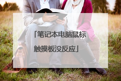 笔记本电脑鼠标触摸板没反应