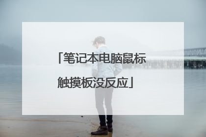 笔记本电脑鼠标触摸板没反应