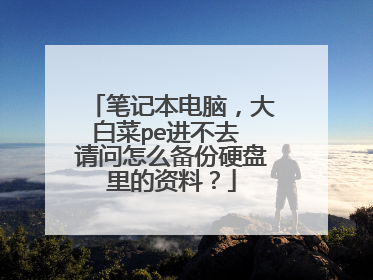 笔记本电脑，大白菜pe进不去 请问怎么备份硬盘里的资料？