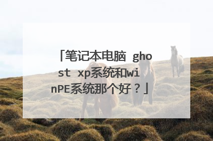 笔记本电脑 ghost xp系统和winPE系统那个好？