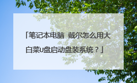 笔记本电脑 戴尔怎么用大白菜U盘启动盘装系统？