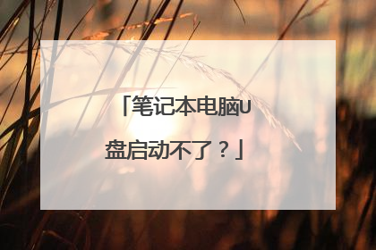 笔记本电脑U盘启动不了？