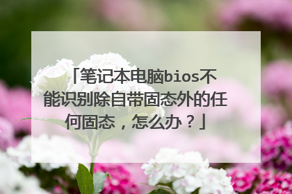 笔记本电脑bios不能识别除自带固态外的任何固态，怎么办？