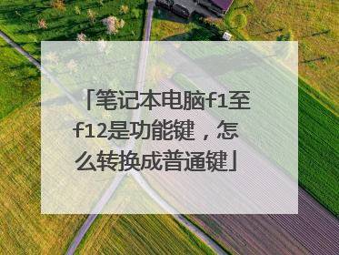 笔记本电脑f1至f12是功能键,怎么转换成普通键