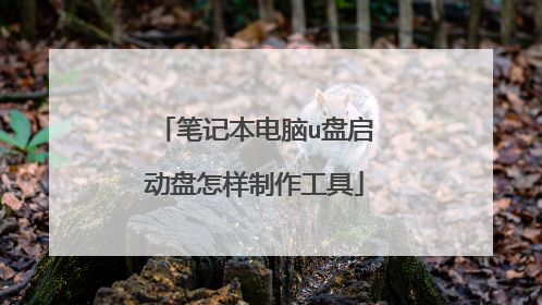 笔记本电脑u盘启动盘怎样制作工具