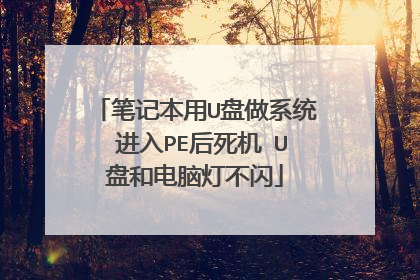 笔记本用U盘做系统 进入PE后死机 U盘和电脑灯不闪