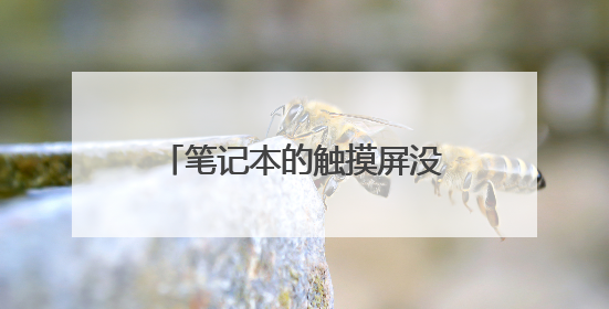 笔记本的触摸屏没有反应了 怎么办