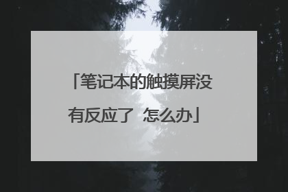 笔记本的触摸屏没有反应了 怎么办