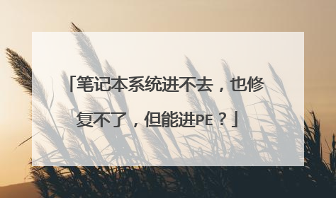 笔记本系统进不去,也修复不了,但能进PE?