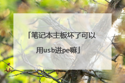 笔记本主板坏了可以用usb进pe嘛