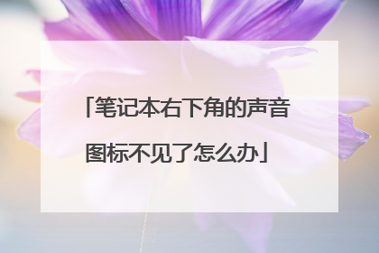 笔记本右下角的声音图标不见了怎么办
