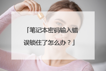 笔记本密码输入错误锁住了怎么办?