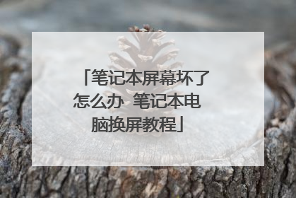 笔记本屏幕坏了怎么办 笔记本电脑换屏教程