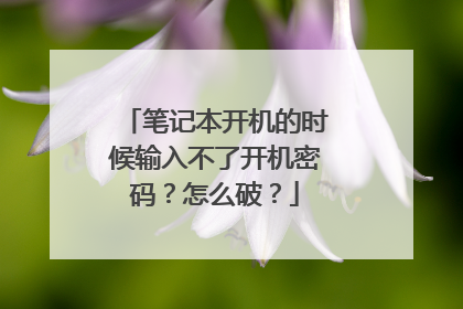 笔记本开机的时候输入不了开机密码?怎么破?