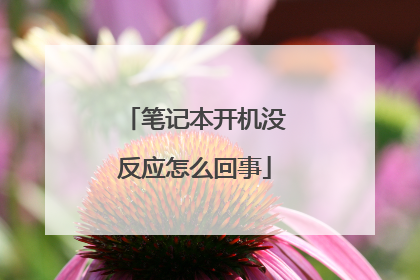 笔记本开机没反应怎么回事
