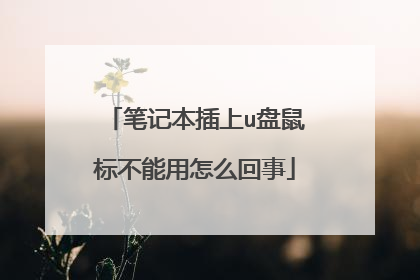 笔记本插上u盘鼠标不能用怎么回事