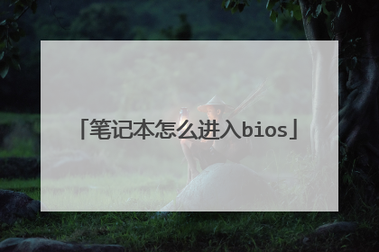 笔记本怎么进入bios