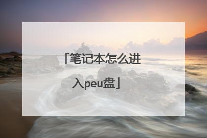 笔记本怎么进入peu盘