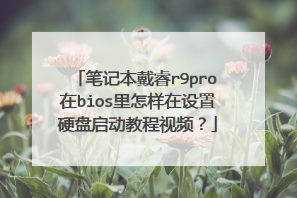 笔记本戴睿r9pro在bios里怎样在设置硬盘启动教程视频?