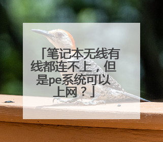 笔记本无线有线都连不上，但是pe系统可以上网？