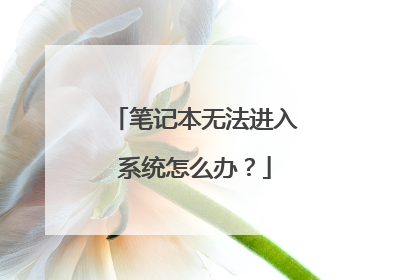 笔记本无法进入系统怎么办?