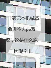 笔记本机械革命进不去pe系统,这是什么原因呢?